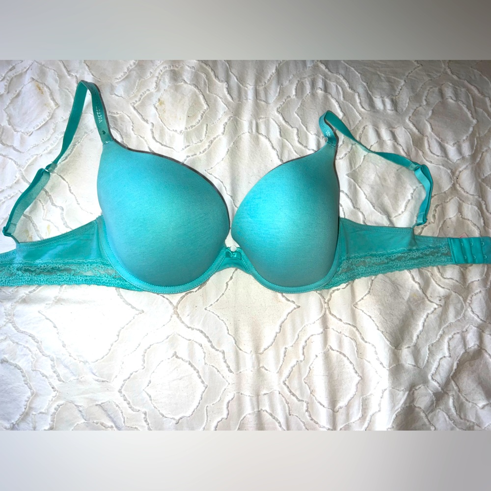 VS plunge bra